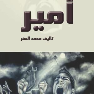 أمير - رواية